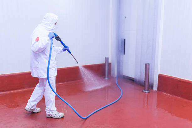 Best Spring Cleaning  in Birmingham, AL